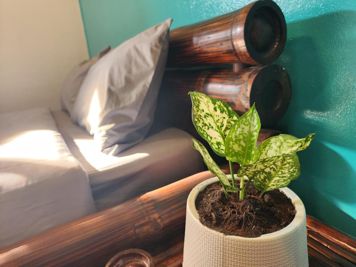 Blue Moon House - A Budget Hostel For Easy Travellers Chiang Mai Dış mekan fotoğraf